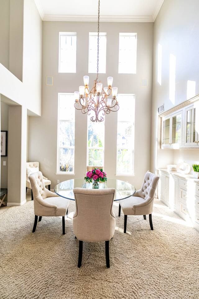 San Diego Oasis — photo 12