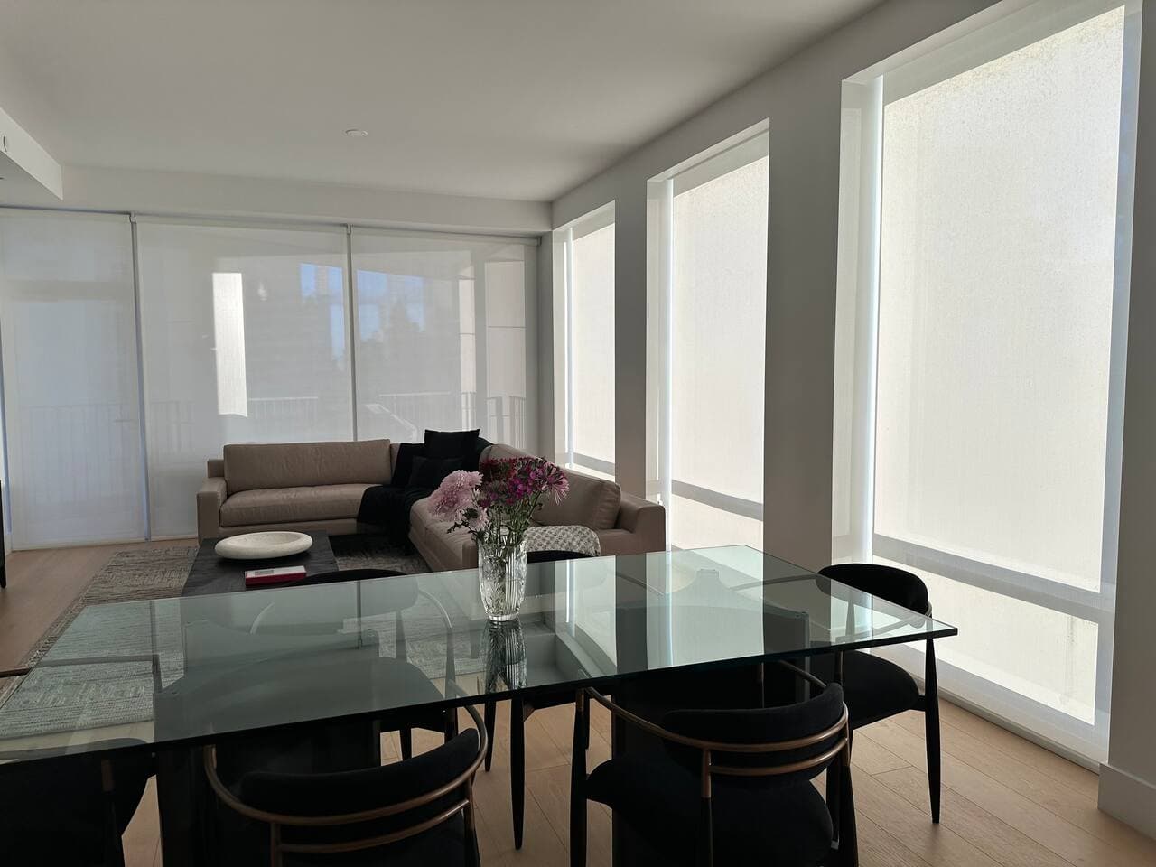 Automatic Lutron shades when you're ready for some privacy