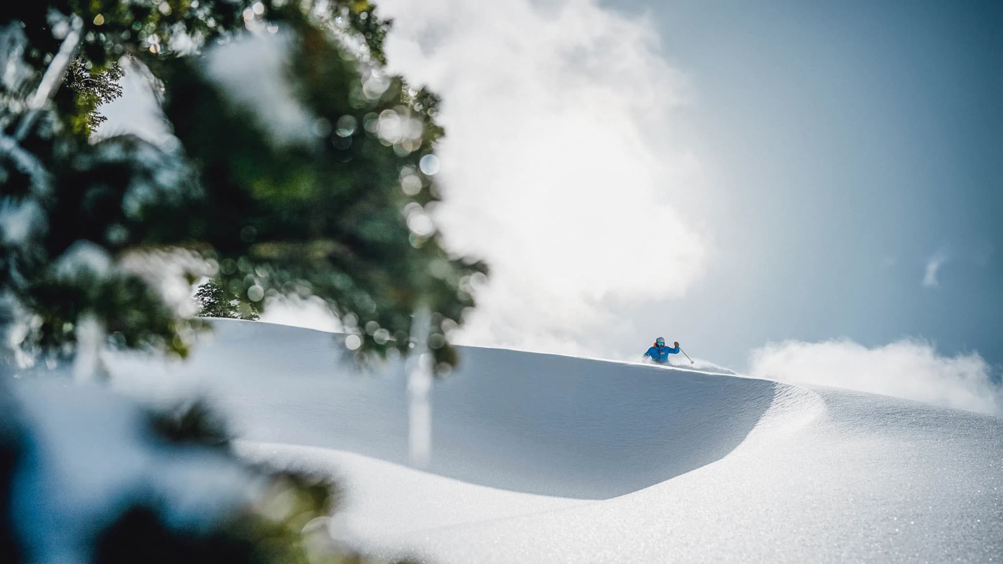 Powder skiing in the Park City area mountains