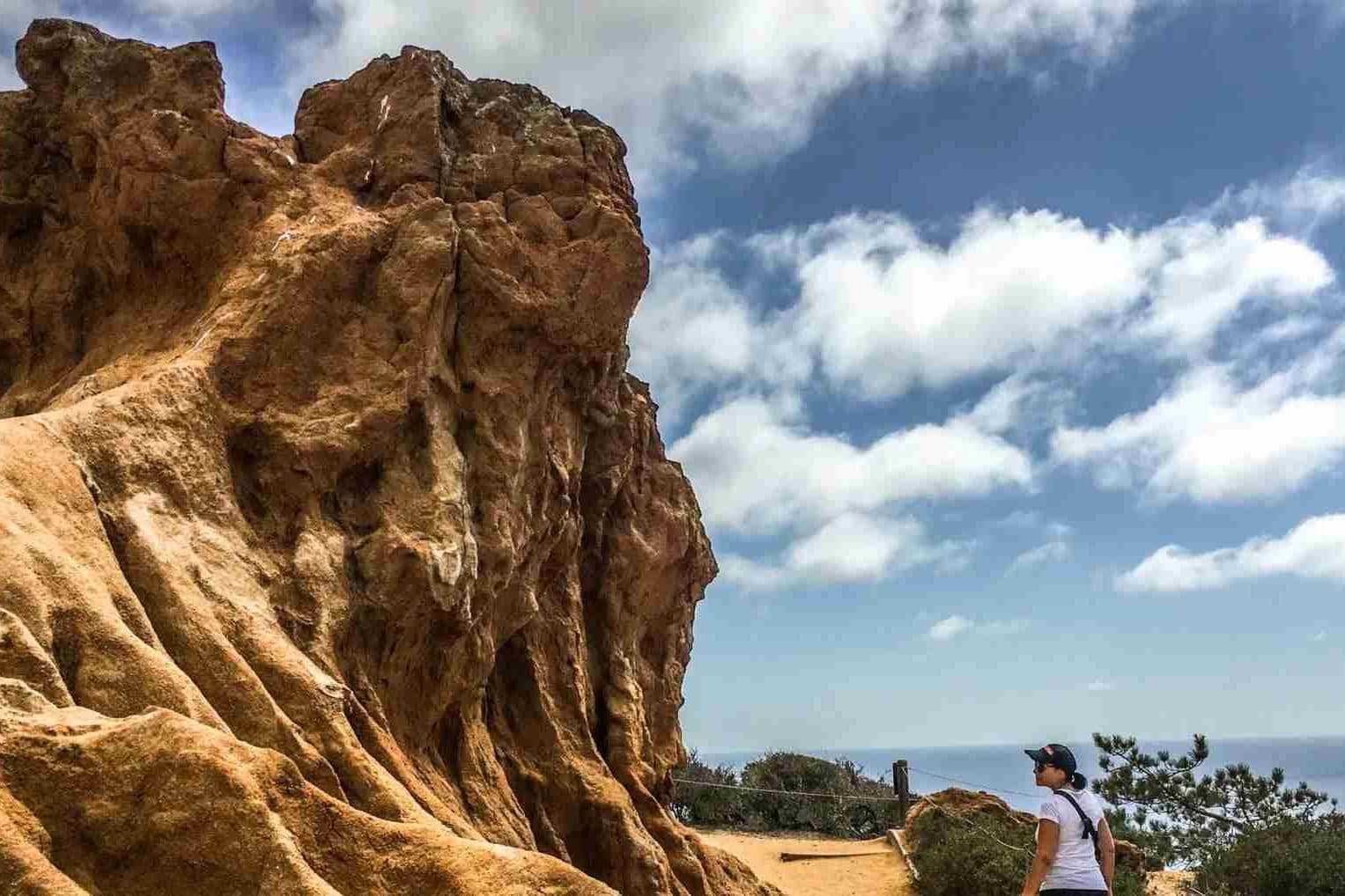 Torrey Pines State Reserve coastal cliffs